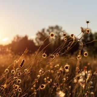 Spotkanie ze strażnikiem łowieckim